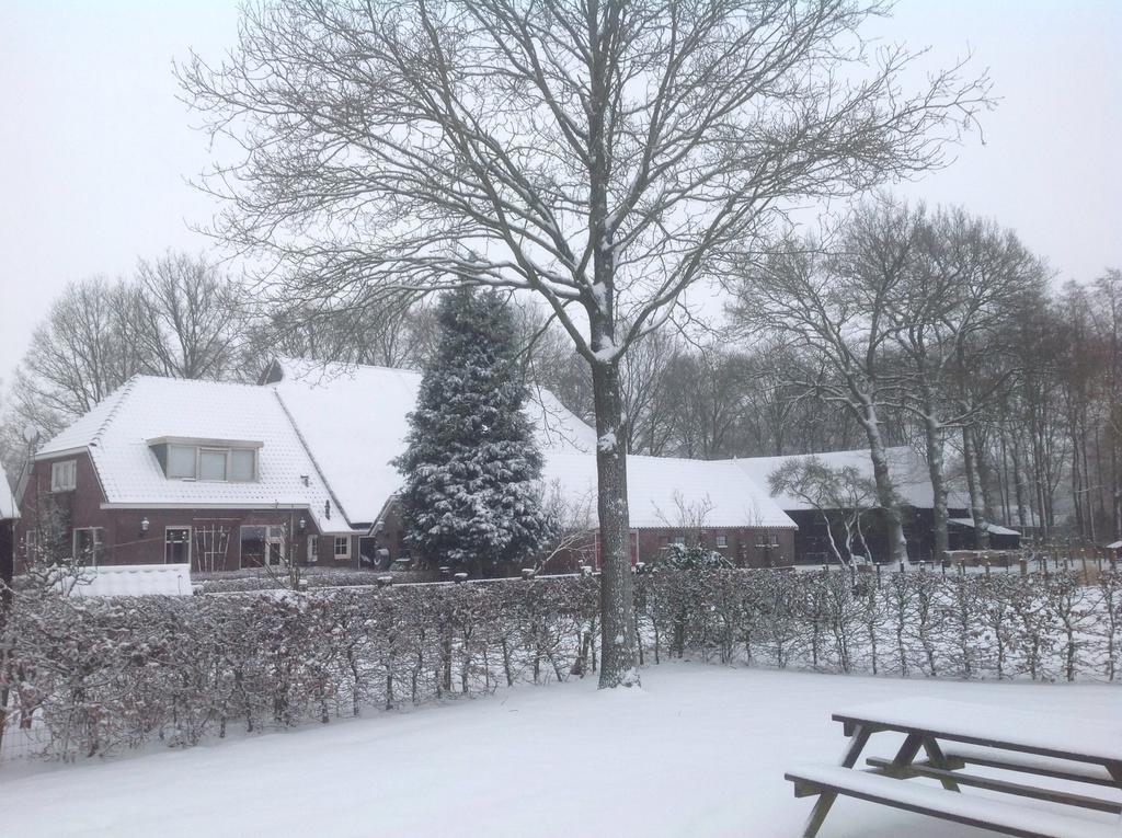 Bed & Breakfast Orvelte Esterno foto